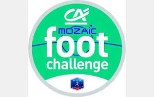 Mosaïc Foot Challenge